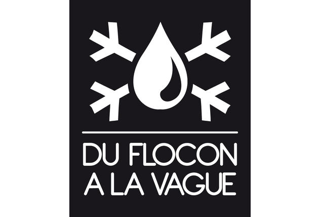 LOGO DU FLOCON A LA VAGUE