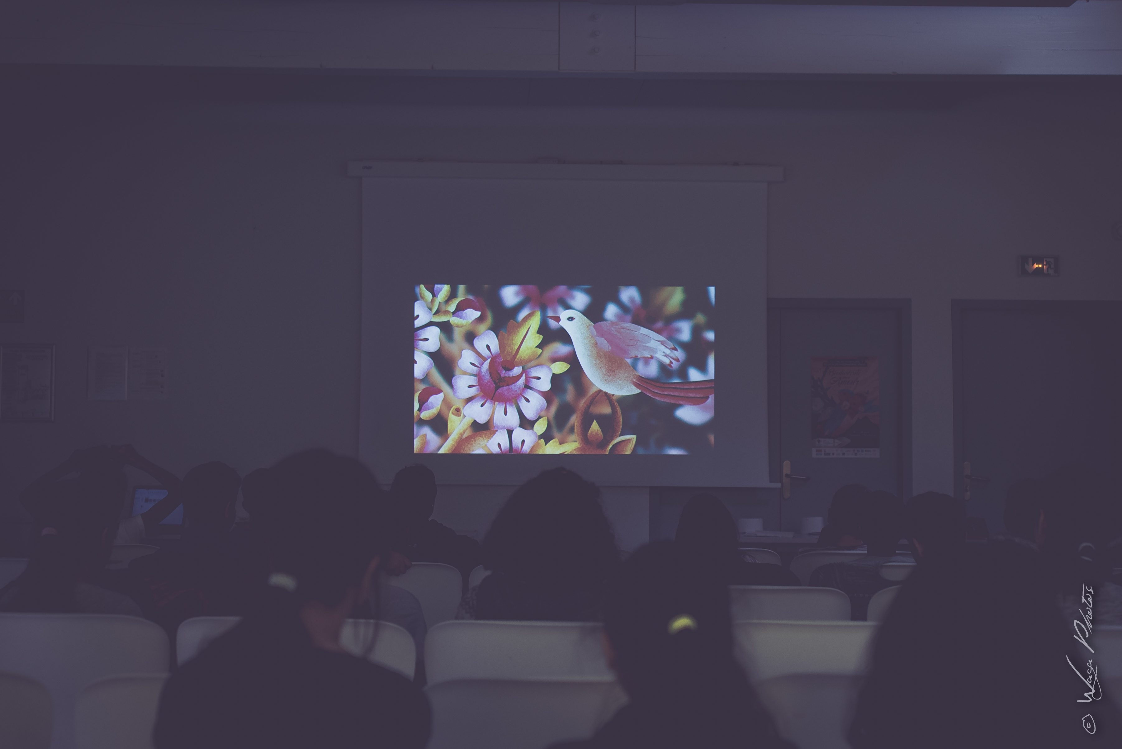 Projections jeune public